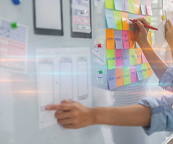 DMS System Setup Services